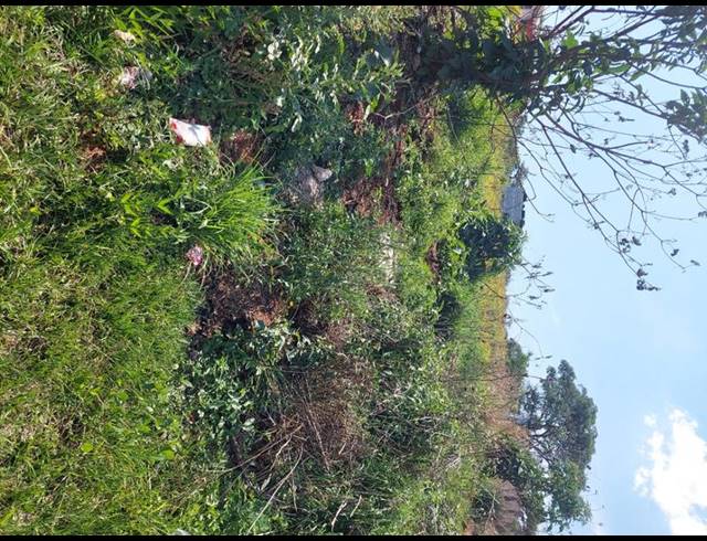 LAND FOR SALE IN SUNNYRIDGE